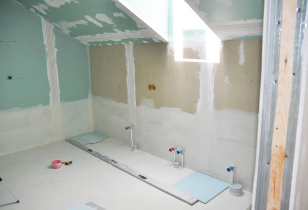 Best Basement Mold Removal  in Haughton, LA