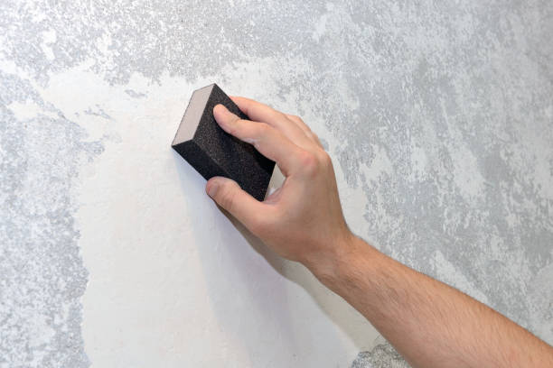 Best Real Estate Mold Inspection  in Haughton, LA