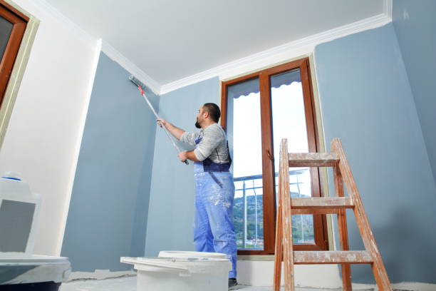 Best Attic Mold Removal  in Haughton, LA