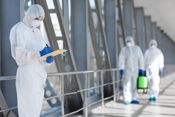 Best Industrial Mold Remediation  in Haughton, LA